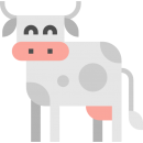 029-cow